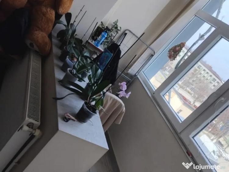 Inchiriez garsoniera Zalau Autogara - 2