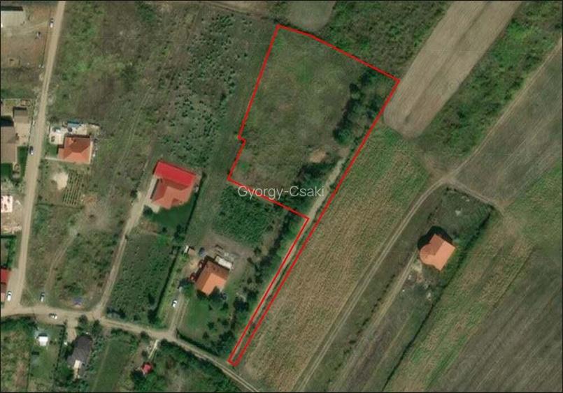 Teren intravilan - Saldabagiu de munte - 5000 mp. - IMOBIHOR