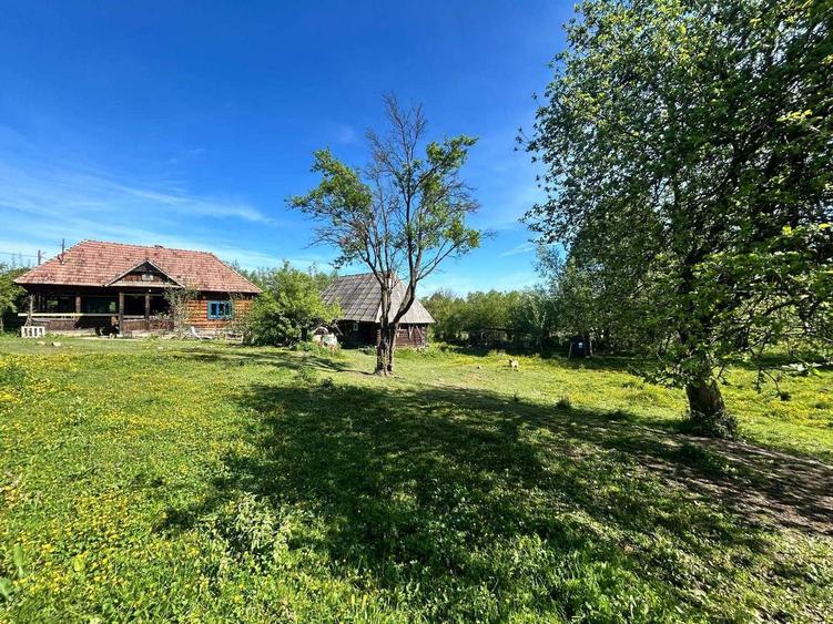 Casa maramureseana lemn si gradina 3000mp in frumosul sat Breb - 9
