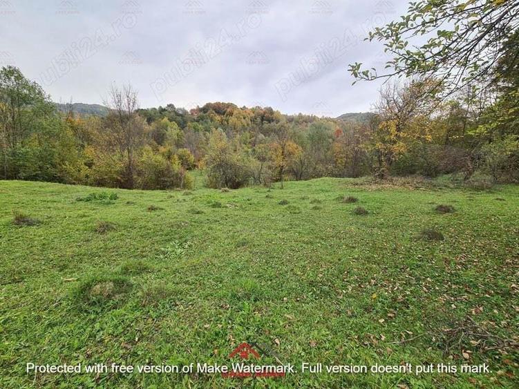 Teren intravilan in Provita de Jos 14.340 mp-- 90.000 e - 1