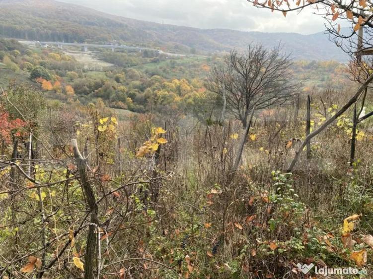 Teren extravilan suparfata 787 mp in zona Bradet - 3