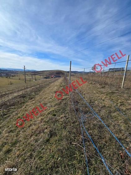 Teren intravilan de vanzare in Barcani, cu priveli?te deosebita! - 5