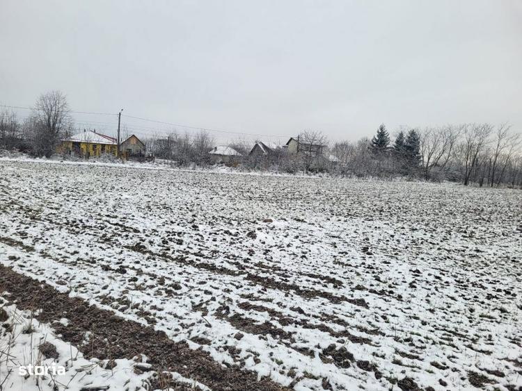 teren intravilan Baicoi - 1