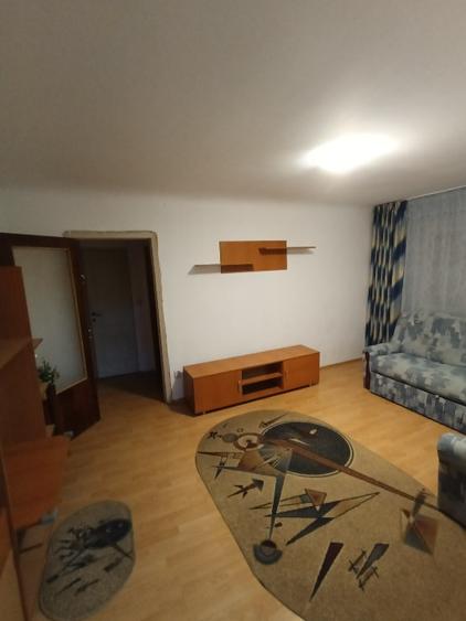 Apartament 2 semi Craiovița  - 11