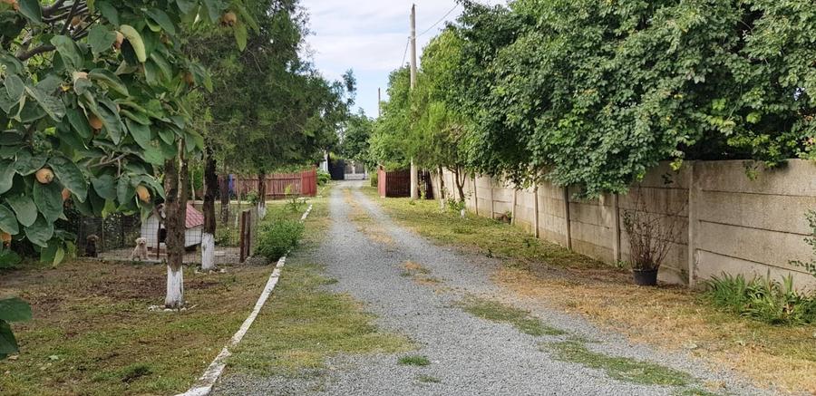 Vanzare 3 case moderne + 3 anexe si 2000 mp teren gradina, pomi in Tuzla la mare - 21