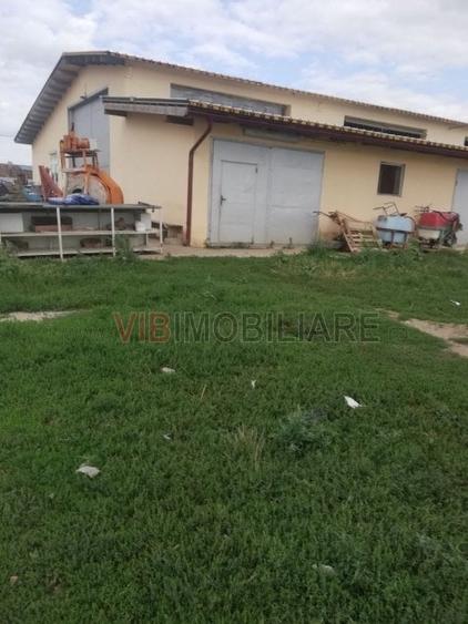 Ferma Zootehnică Mixtă – Cernateaz, Timiș | 9,5 ha | Hale Moderne, Casă 2019, Ut - 1