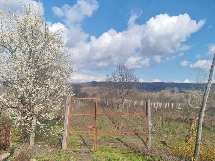 Casa de vanzare Comuna Creteni, judetul Valcea la 12 km de Dragasani, - 1