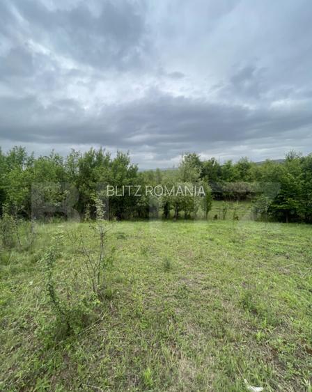 Teren extravilan 5200 mp Budacul de Jos- Investi?ie ex