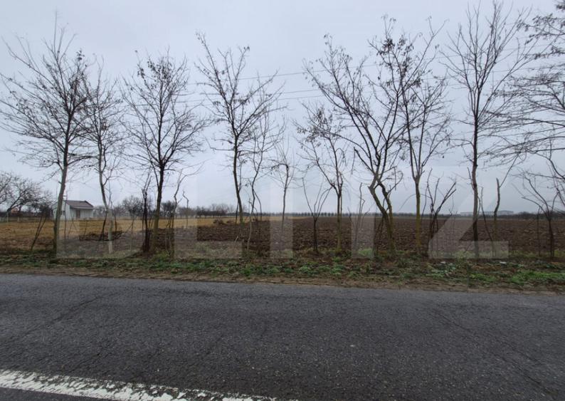 Teren intravilan de vanzare, 2.500 mp, Str Gorunului - 5