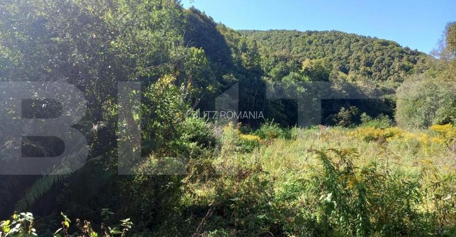 Teren intravilan in zona Valea Ierii, 9691 mp, front 84,71ml