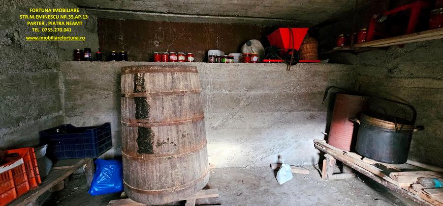 Casa+ Anexa+ Teren 6000 mp, la 10 minute de oras, com.Garcina - 7