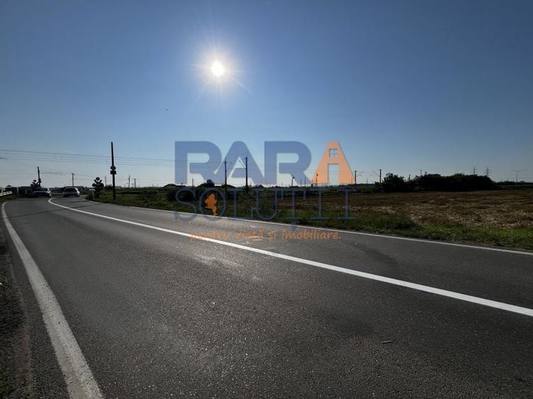 Teren între Cordun și E85 - 3