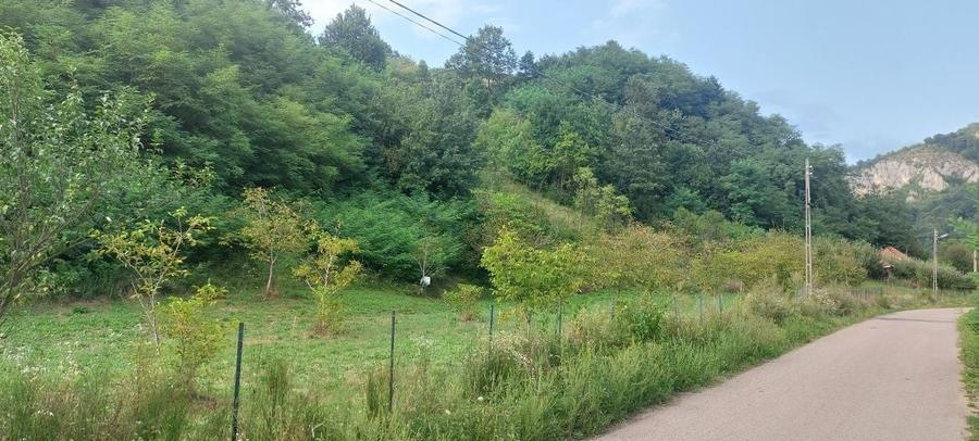 Teren de 7000 mp, în Voia