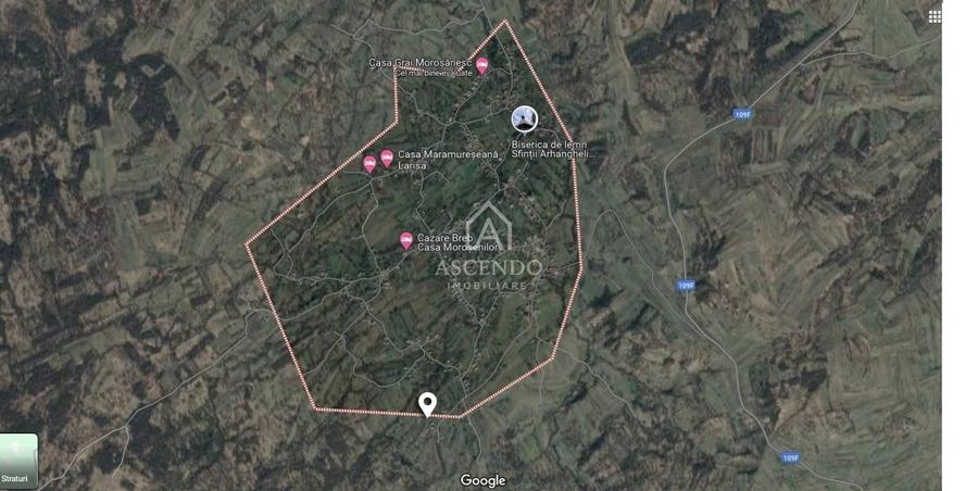 Teren Construcții extravilan de 19356 mp, în Breb