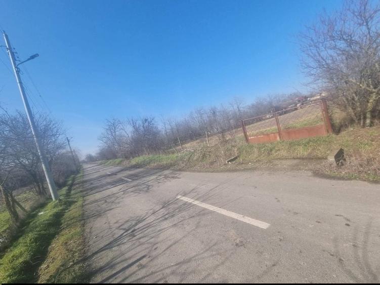 Vand urgent teren intravilan - 2