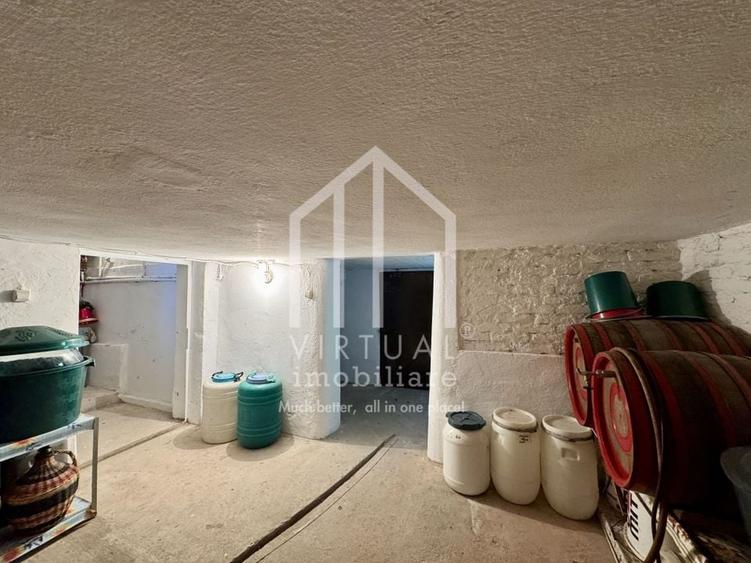 Casa individuala cu teren de 820mp, 3 camere, pivnita, pod, Turnisor - 30