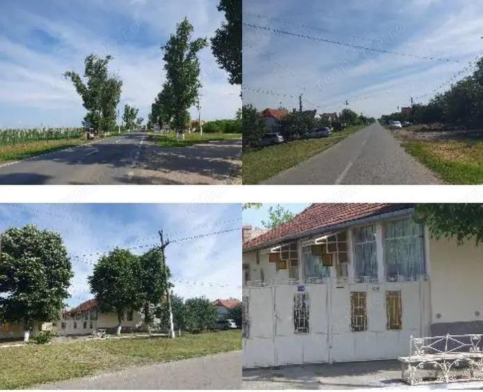 Casa si teren localitatea Cenad, comuna Cenad, jud. Timis Casa si teren localitatea Cenad, comuna Cenad, jud. Timis