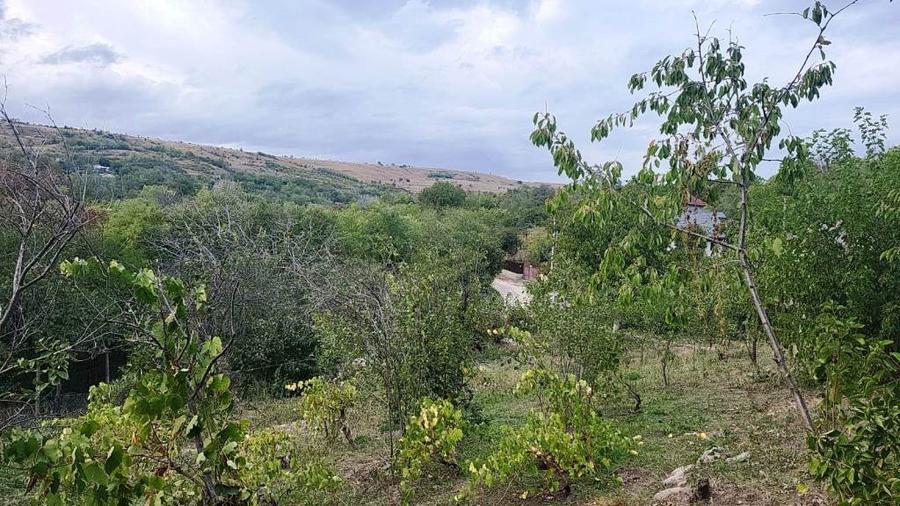 Proprietate în zonă de deal în localitatea Zărnești, la 20km de orașul Buzău - 3