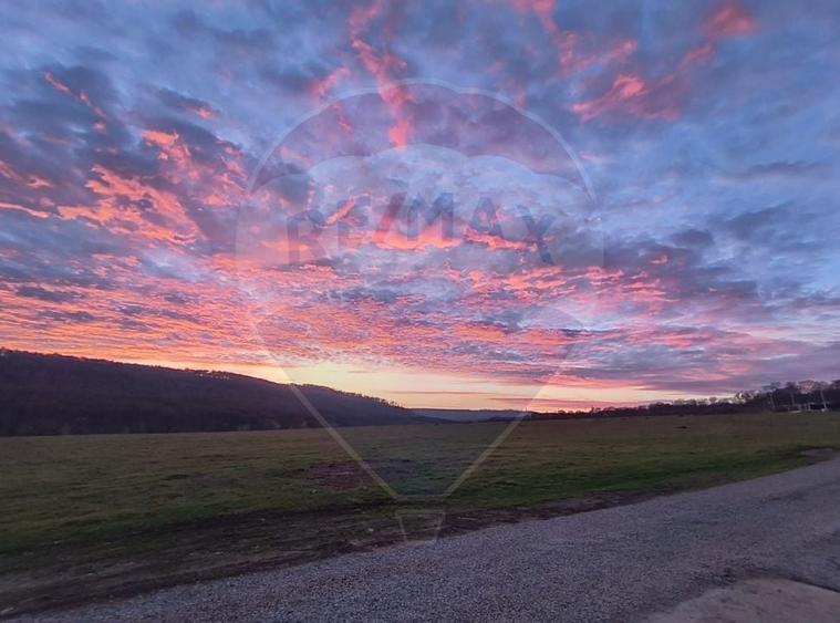 Casă / Vilă cu 5 camere de vânzare - 13