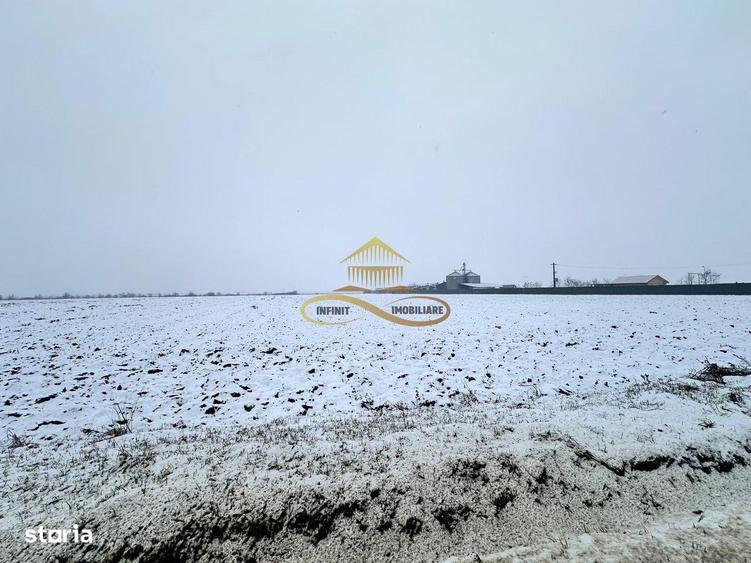 Teren de vanzare Schineni Saucesti - 3