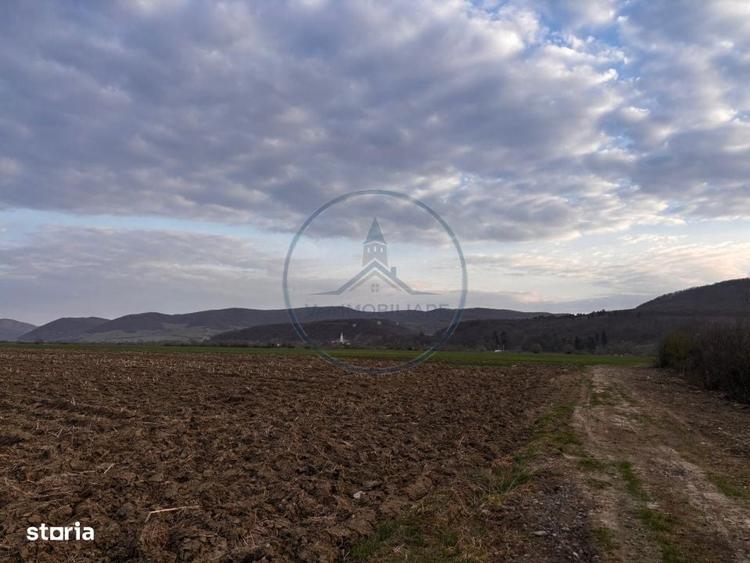 Teren extravilan de vanzare | ?ieu-Magherus | Ideal pentru cabana / r - 6