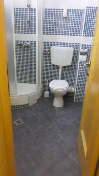 Apartament  spatios in  Vila noua, curte, multa verdeata, ultracentral, - 15