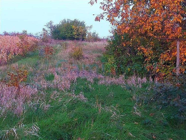 Gaminvest Teren cu  priveliște panoramică în Episcopia Bihorului, V3870 - 3