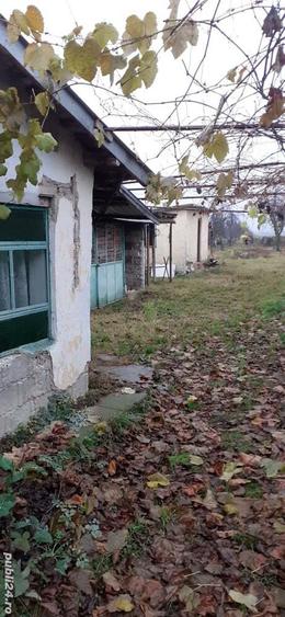 Casa si teren de vanzar - 5