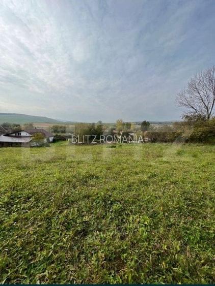 Teren intravilan, 4 506 mp, sat Craiesti
