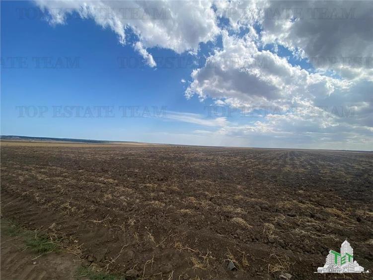 Teren extravilan in Mihail Kogalniceanu, Constanta - 4