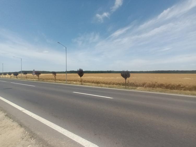 Teren Vanzare Intravilan Branesti - Investitie Zona Industriala Vis a Vis Makita - 28