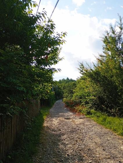 Casa de vanzare cu teren 3100 mp in Breaza de Jos, Prahova - 28