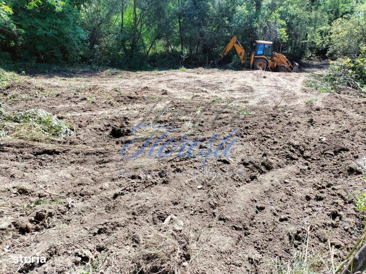 Teren intravilan, 1300 mp, front la strada, utilitati, Iara - 2