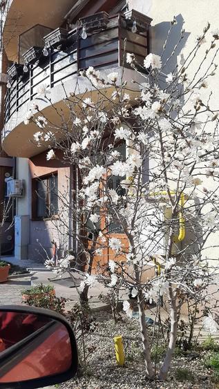 PROPRIETAR vand ap 2 cam, et 2 in vila. Parcare. Bacau - 7