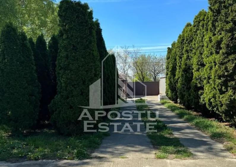 Casa cu piscina si 5 camere in Dinias - 10