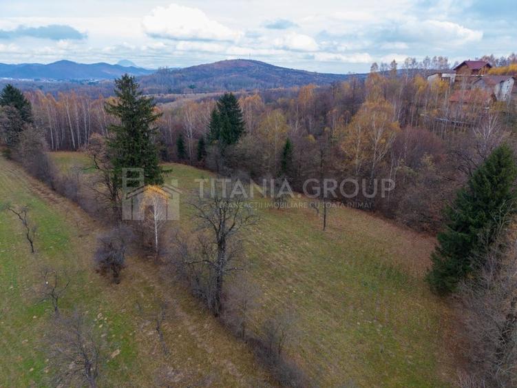 Teren intravilan, cu PUZ, Bran Tohanita,  SE ACCEPTĂ ȘI SCHIMB - 7