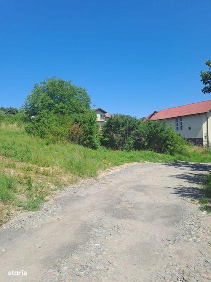 Teren intravilan 20 ari - strada Merilor - 4