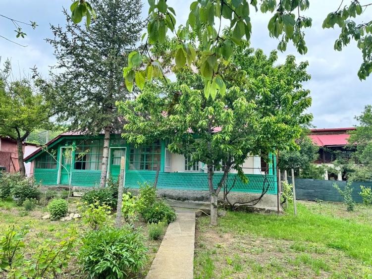Casă traditionala cu potential de vânzare-HEMEIUS - 2