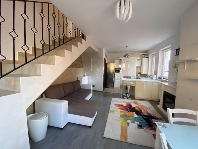 Cochet la intrare in Dumbravita - 18