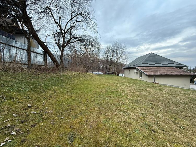 Casă individuală I 3 camere I 1500 mp curte I Făget - 10