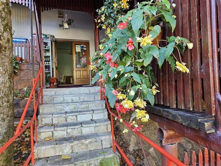 PENSIUNE 2 MARGARETE  DE VANZARE in STATIUNEA MONTANA SLANIC MOLDOVA - 4