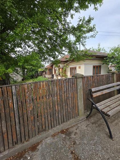 Casa de vanzare Malu - 2