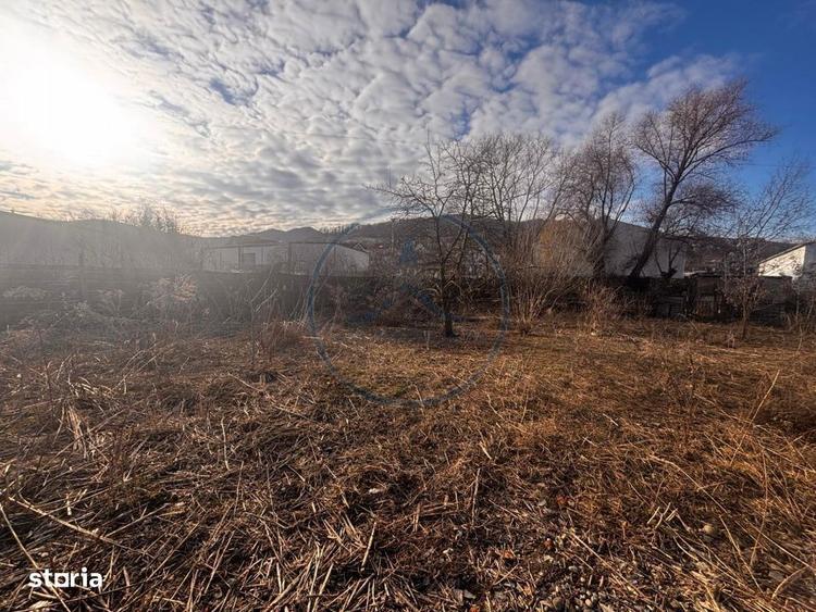 Teren + Cladire in Viisoara - 3