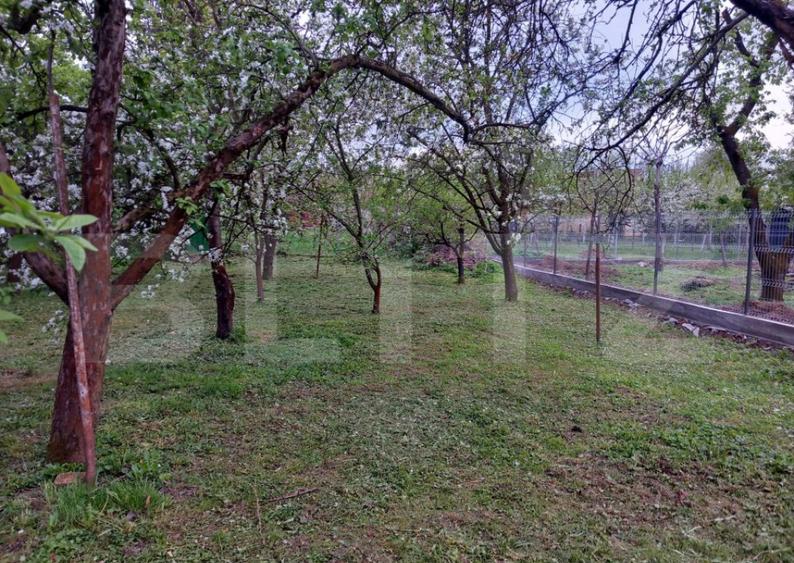 Teren, 600 mp, zona Bercu Rosu - 18