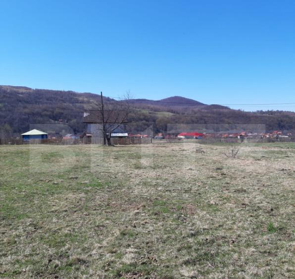Teren extravilan 1.000 mp Valea Draganului - 6