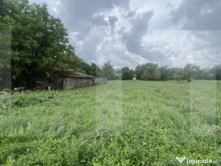 Casa tradi?ionala cu teren generos Belin - 2