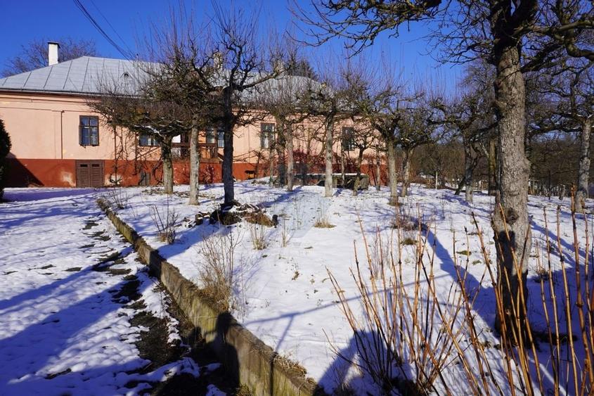 Casa de vanzare in centrul satului Desesti, Maramures - 1