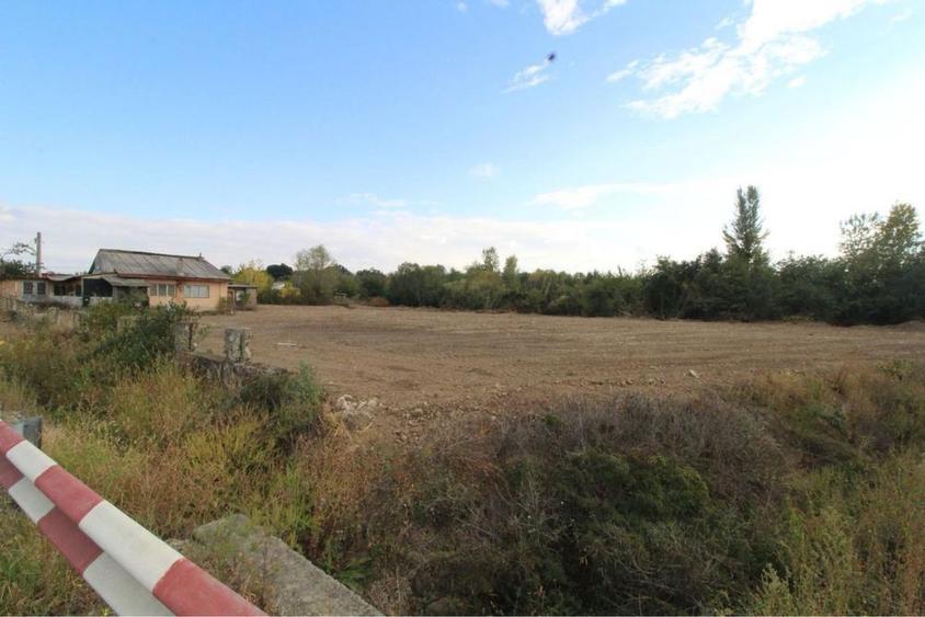 Teren Tetila 3169 mp deschidere 79 ml - 2