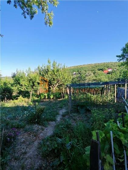 EXCLUSIVITATE! Casa+teren si cabana de lemn zona Naeni - 24