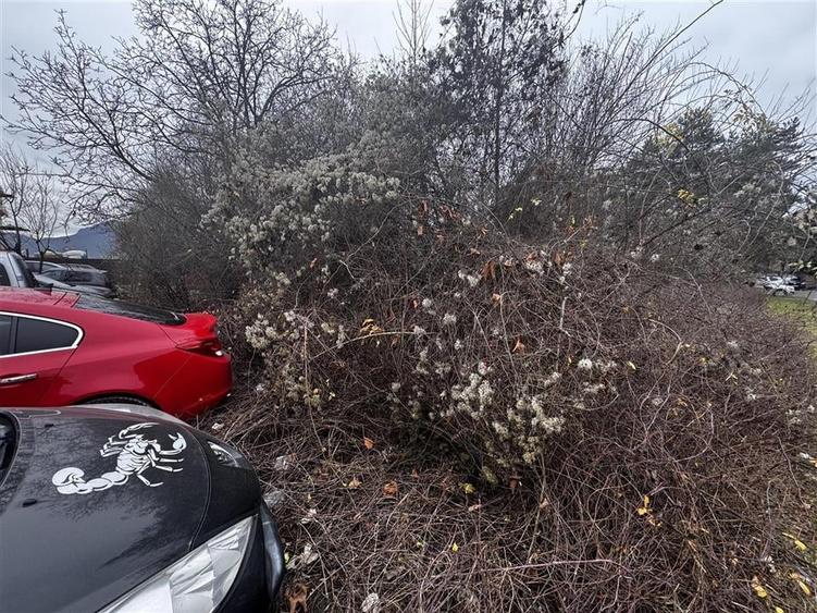 Teren de vanzare  oportunitate investitionala  Brasov, Cartier Astra - 6